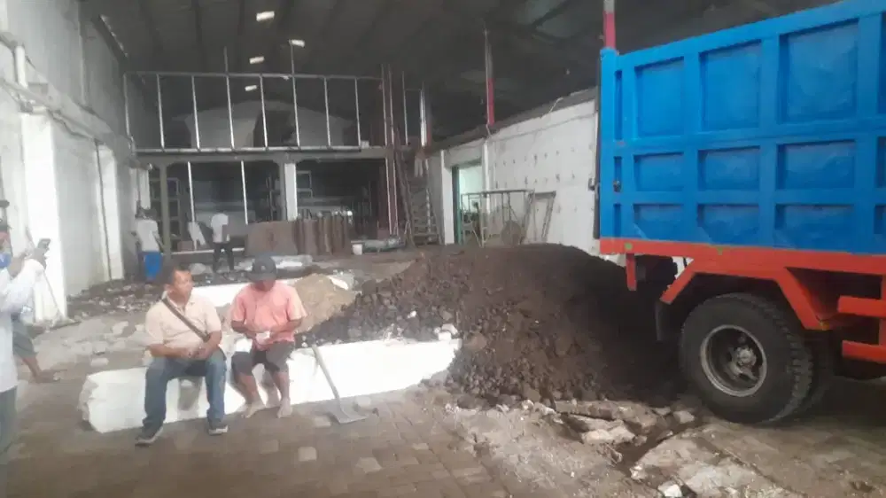 Sirtu urug kualitas terbaik free ongkir