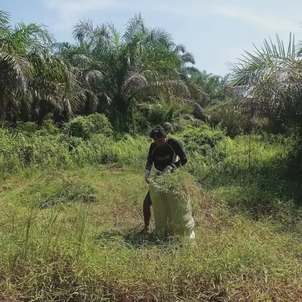 Cari pekerjaan sampingan