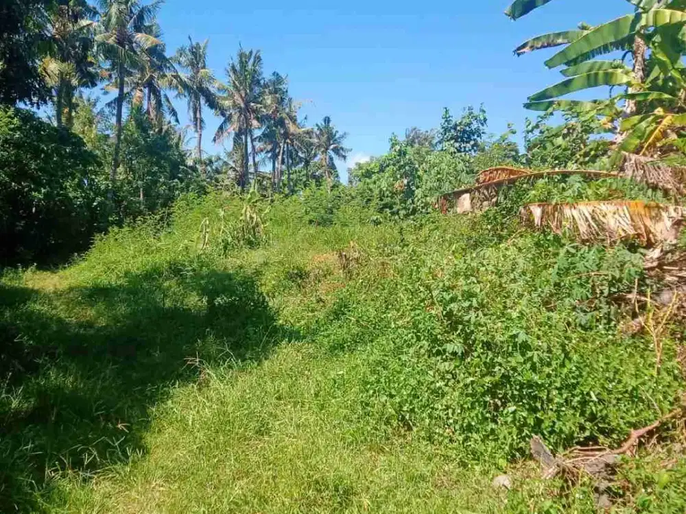 Tanah Bypass Ida Bagus Mantra Jalan Raya Cucukanlama