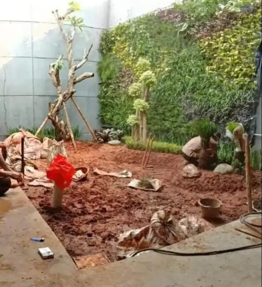 Tukang taman murah