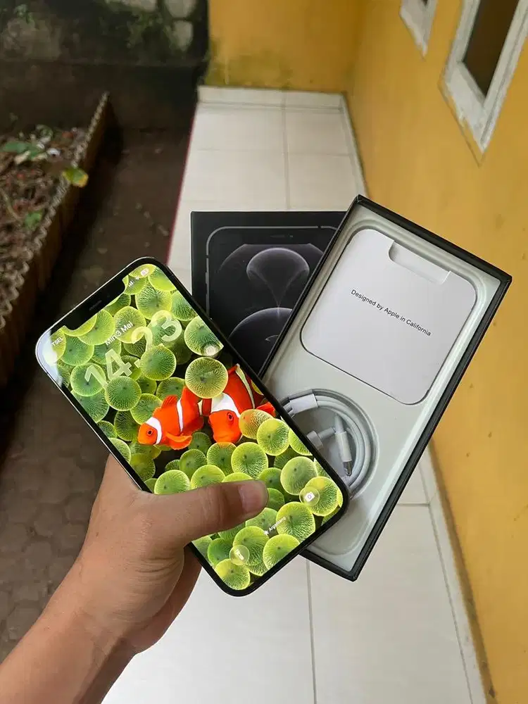 Iphone 12 promax 128