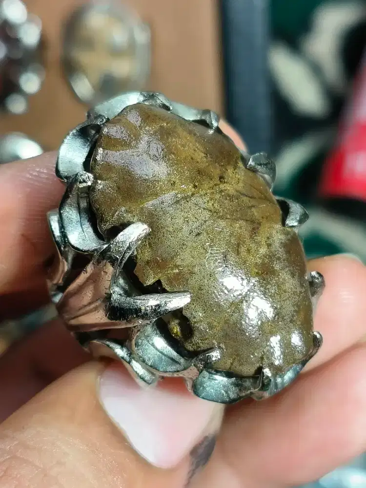 Batu akik fosil kepiting unik antik