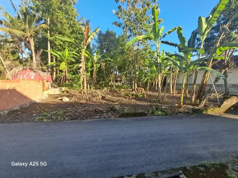 Jual Tanah Murah di Sedayu Jalan Wates