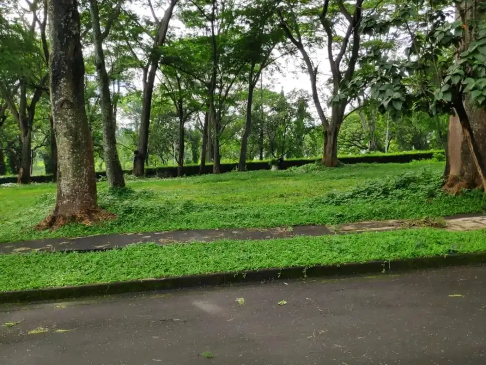 taman dayu cluster hijau alami pandaan pasuruan
