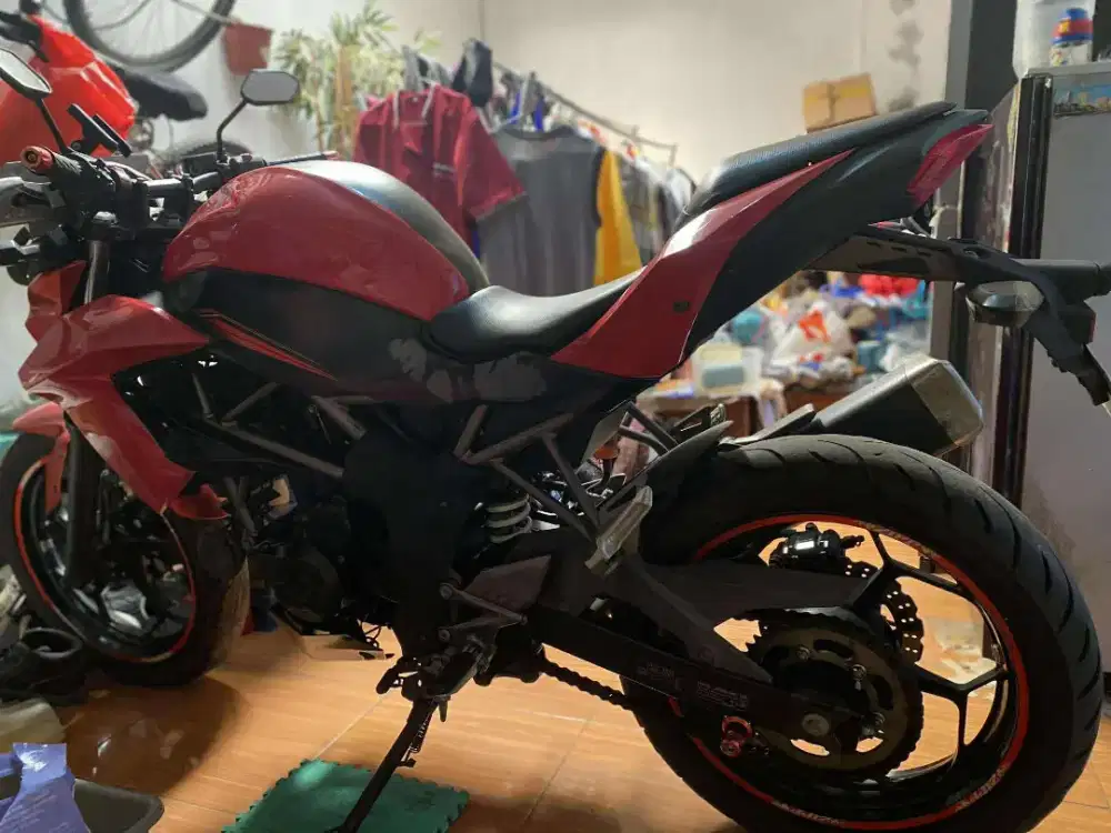 Kawasaki Z250 SL 2015
