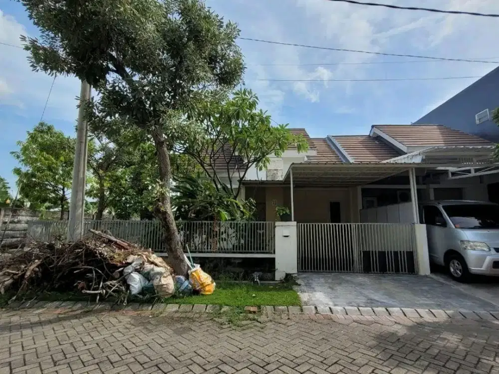 Purimas