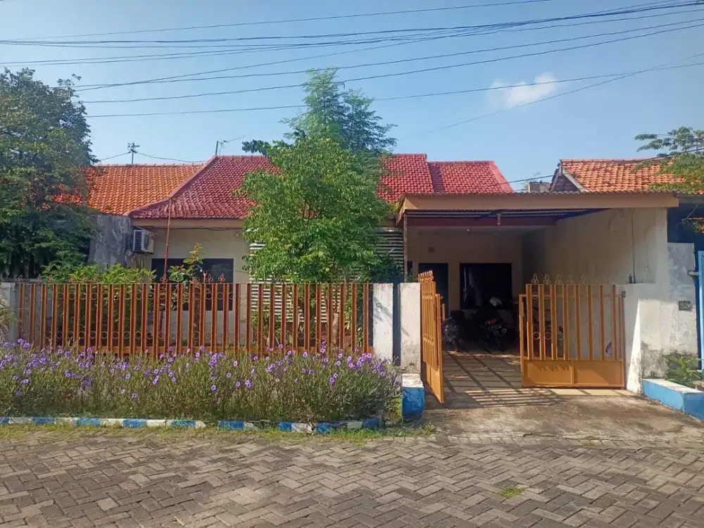 rungkut mejoyo