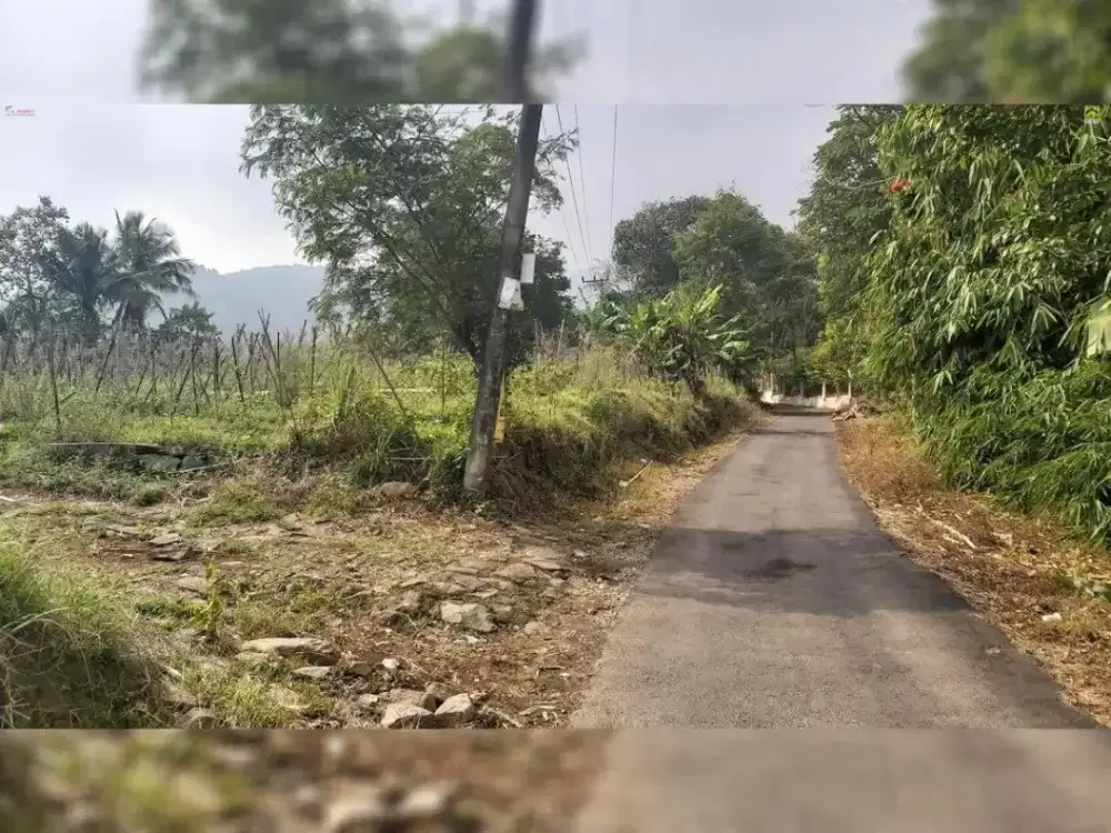 Di jual tanah cocok untuk perkebunan, villa di Wanayasa Purwakarta