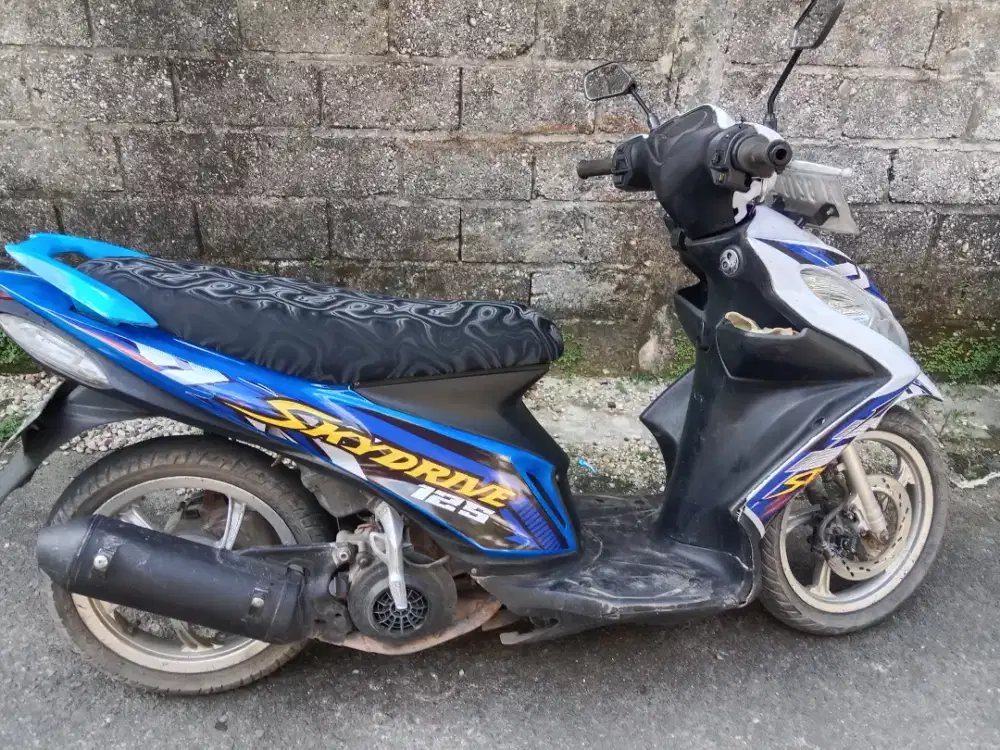Metic Suzuki skydrive