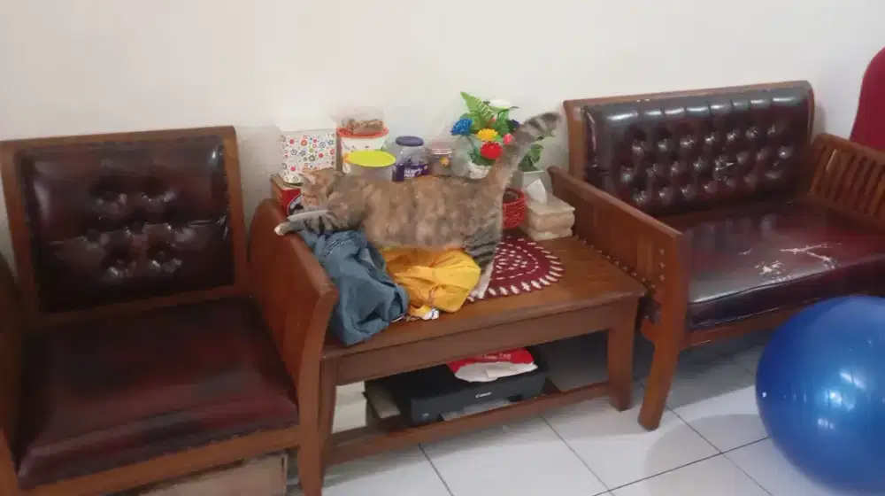 Kursi Jati Belanda