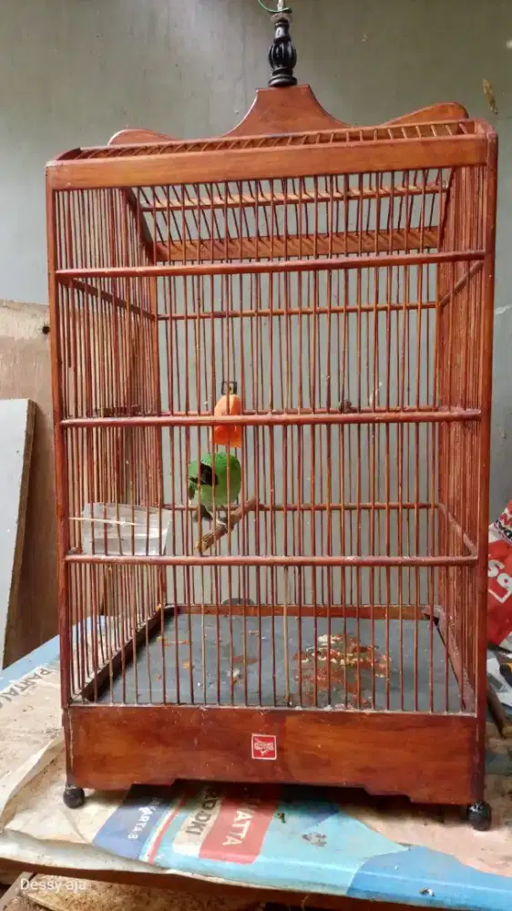 Burung berkicau