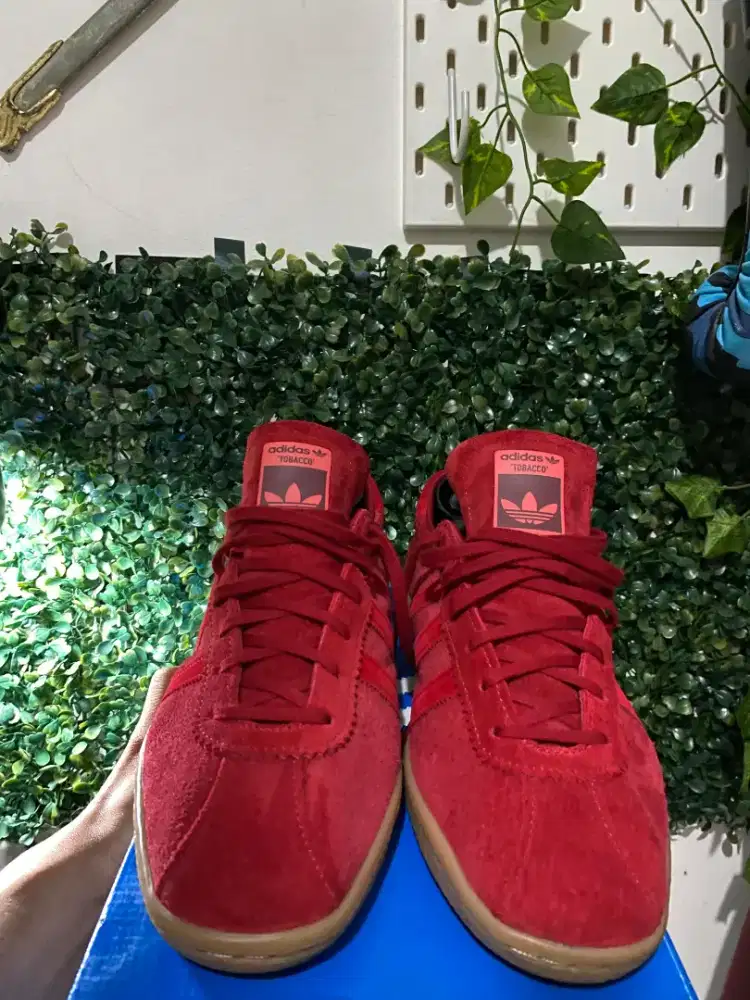 Adidas Tobacco Red Gum - Original 100%