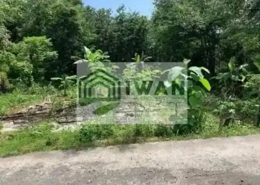 Tanah Pekarangan Luas & Murah Dapat View Sawah