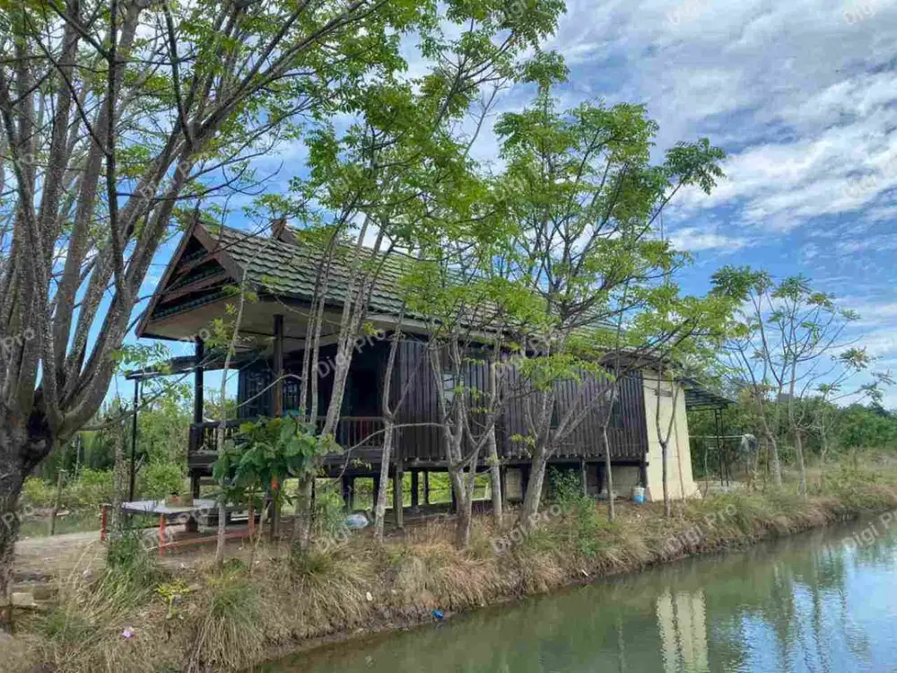 Jual Empang Produktif Luas 2.3ha SHM Lengkap Rumah Kayu