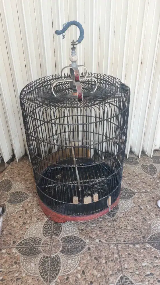 Kandang burung murai.