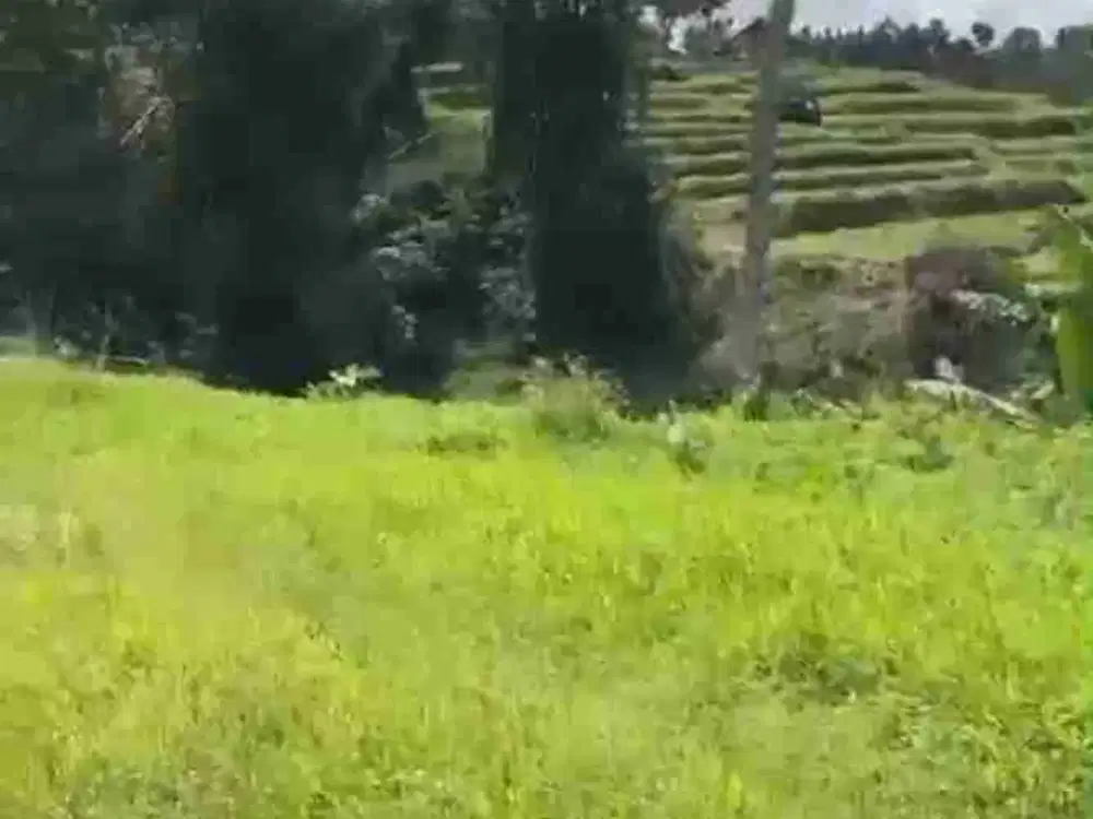 di jual lahan kebun akses truk view gunung di gn bunder pamijahan Bogor