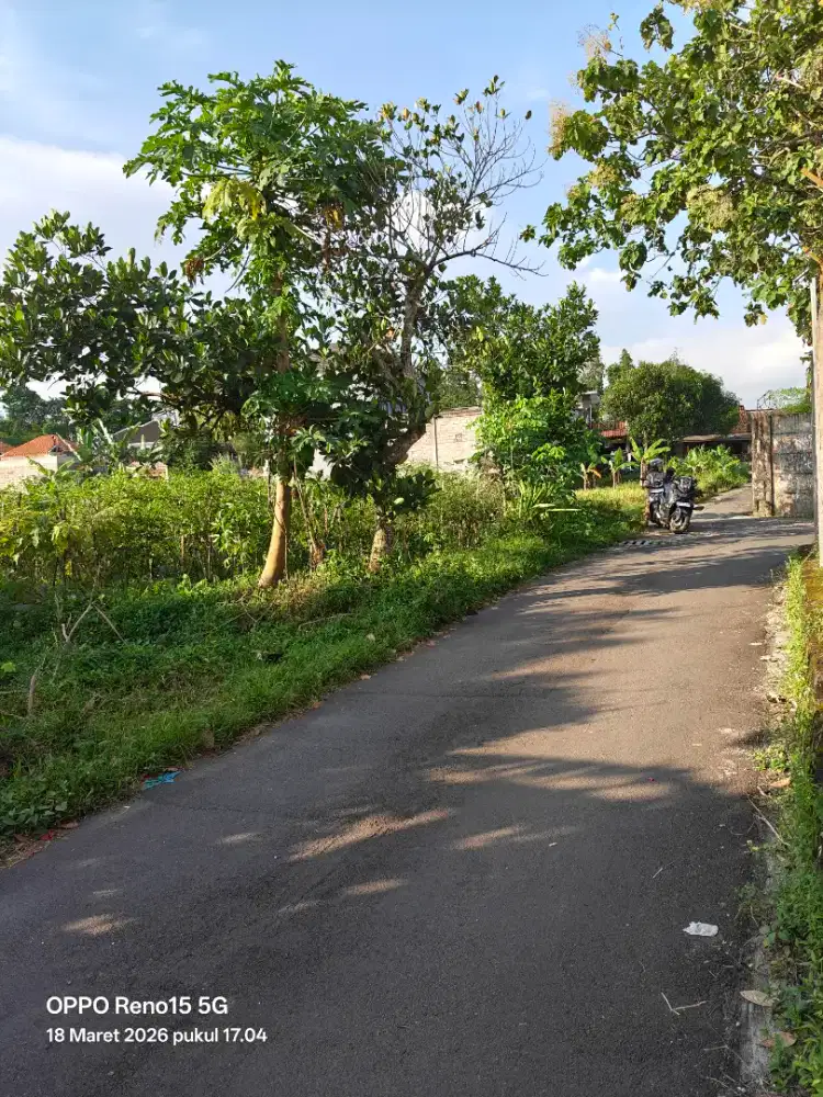 Strategis Tanah Sleman Dekat Kampus dan Rumah Sakit Harga Butuh Cepat