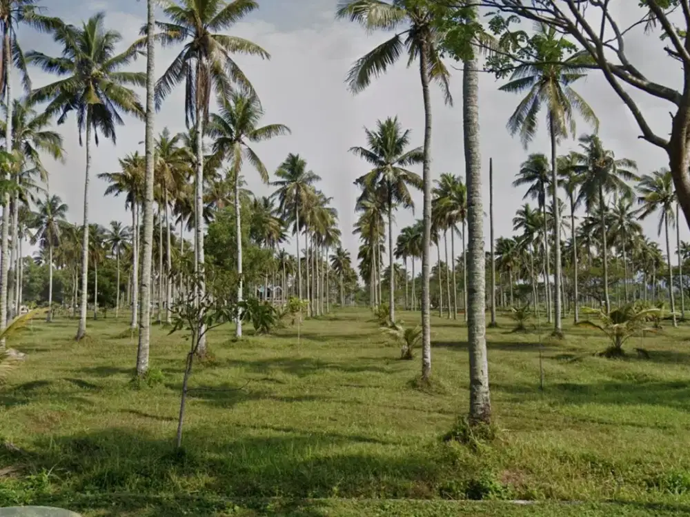 Tanah kosong strategis di kawasan Pantai Barat Pangandaran, menawarkan peluang investasi menjanjikan di salah satu destinasi wisata unggulan Jawa Bara