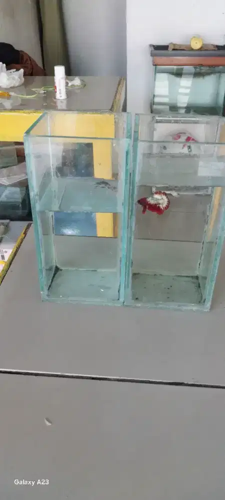 Jual akuarium mini buat ikan cupang