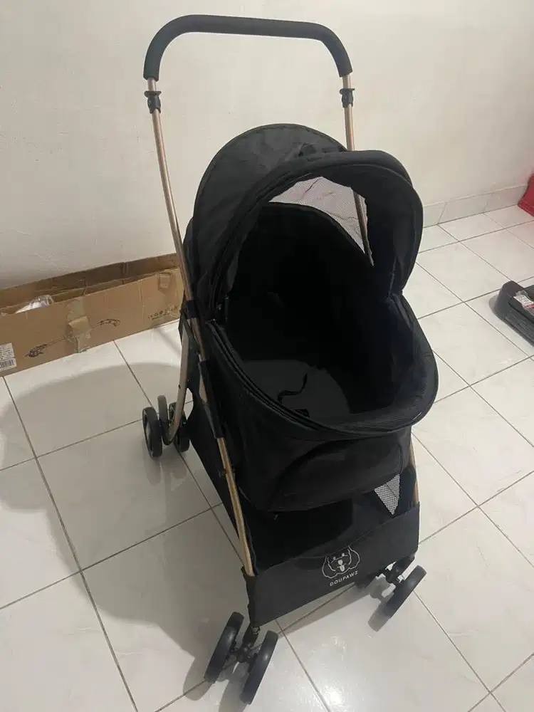 Stroller anjing dewasa