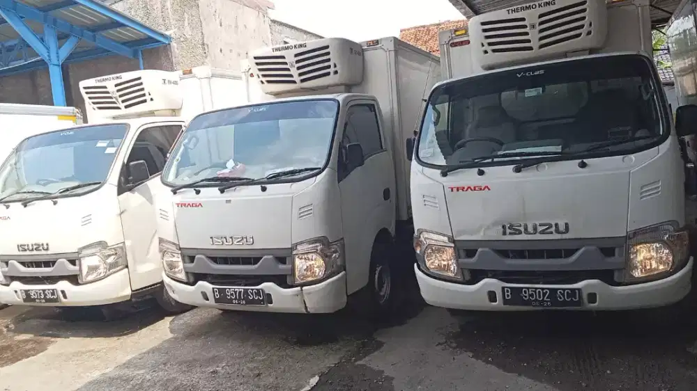Isuzu Traga diesel 2021 box pendingin freezer ThermoKing suhu-20