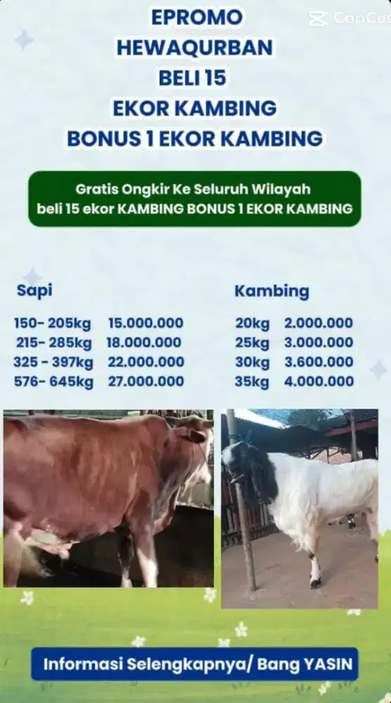 Hewan Qurban & akekah Bagir