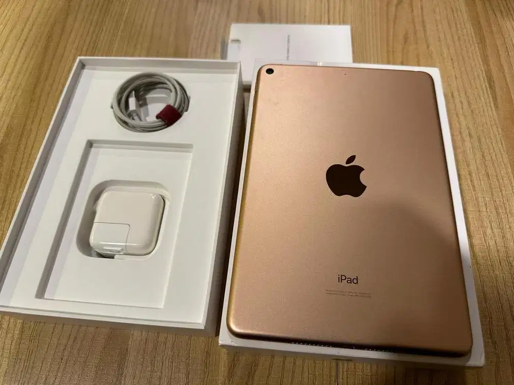 Ipad Mini Rose Gold