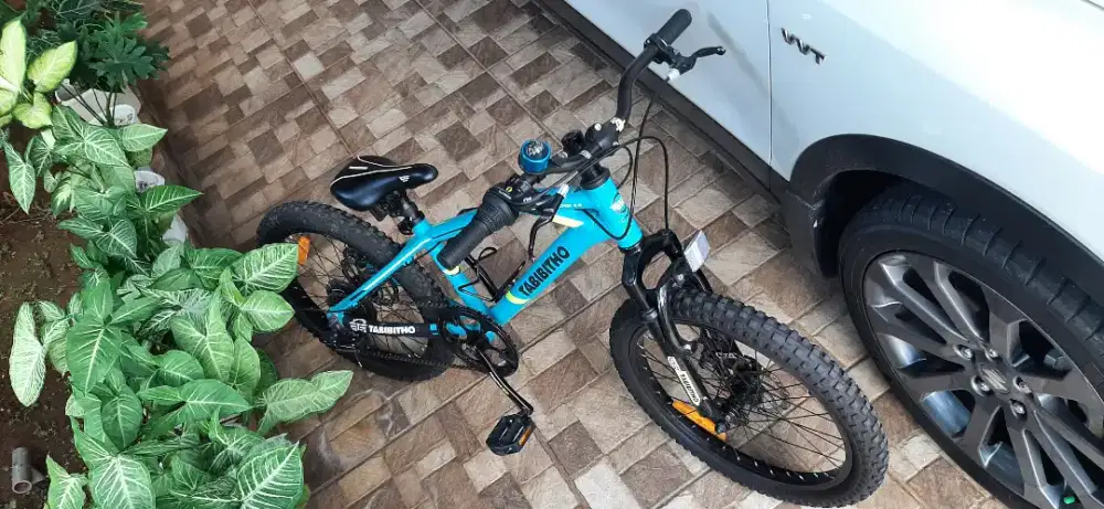 Sepeda TABIBITHO 20 inch tyres MTB (sub brand THRILL)