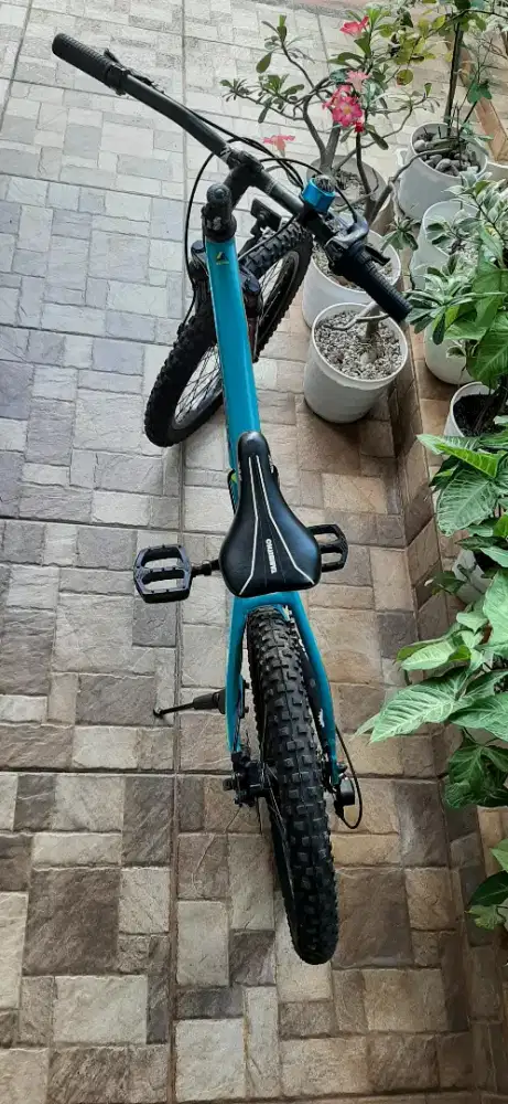 Sepeda TABIBITHO 20 inch tyres MTB (sub brand THRILL)