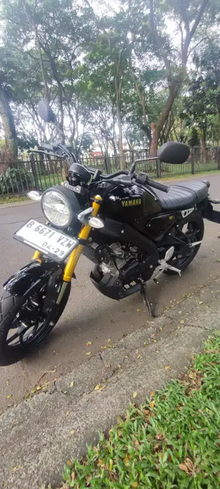 Yamaha XSR 155 CC 2024