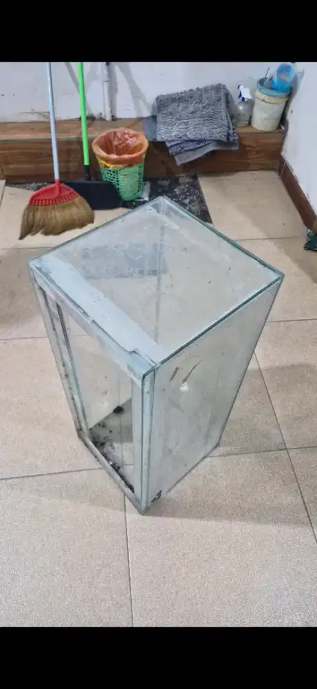 Aquarium Ikan Gratis