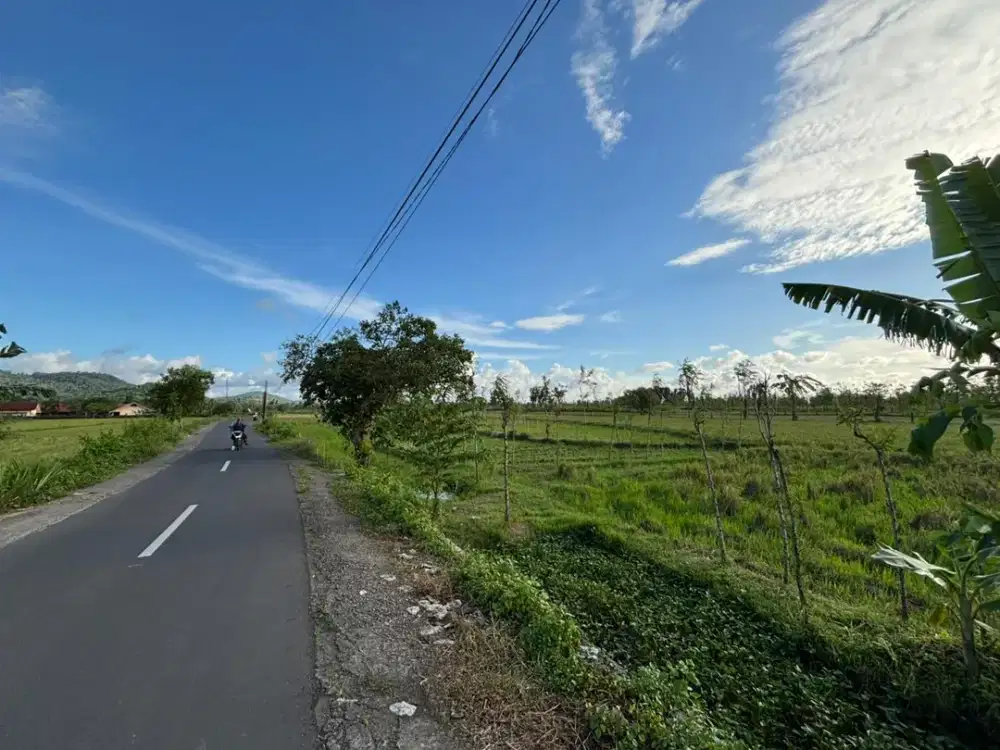Tanah di dekat Bandara internasional Lombok