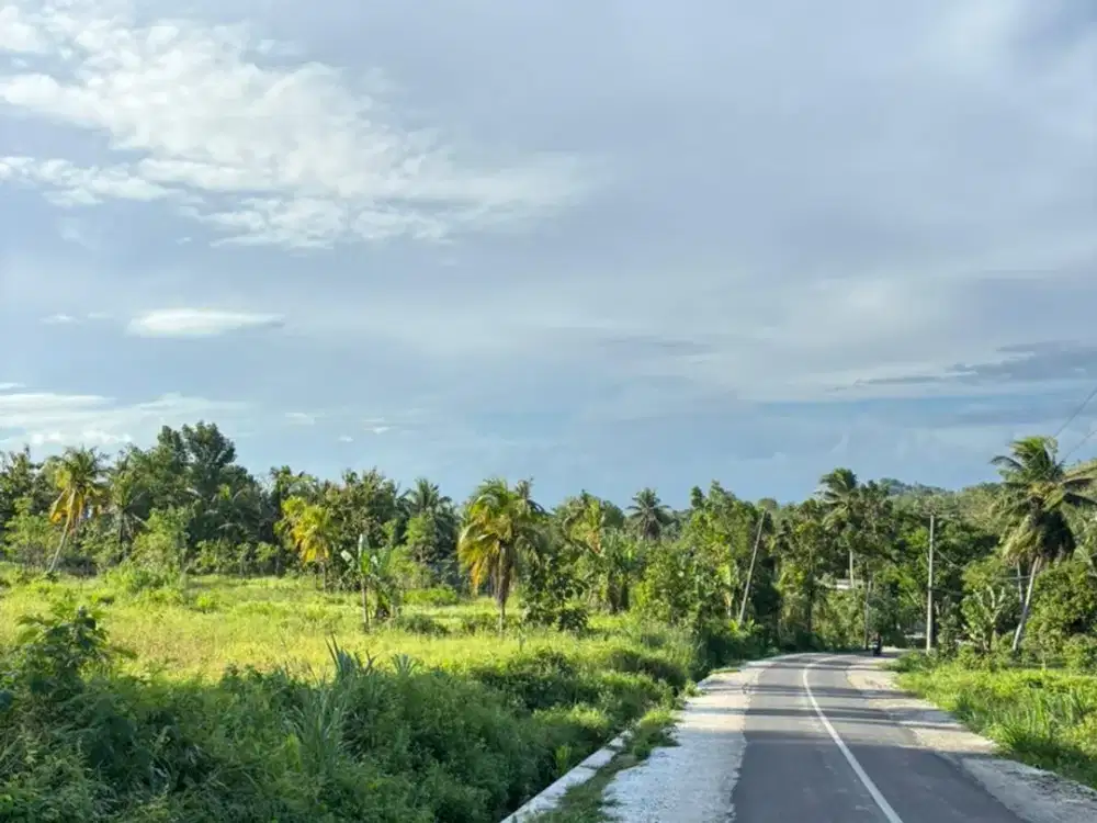 Tanah di pengembur Lombok tengah