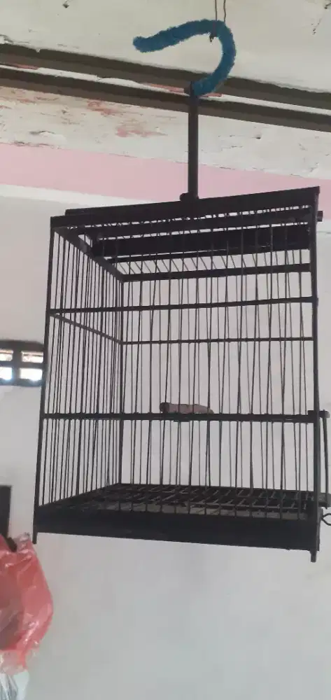 Sangkar burung ukr24×26 bagus siap pakai
