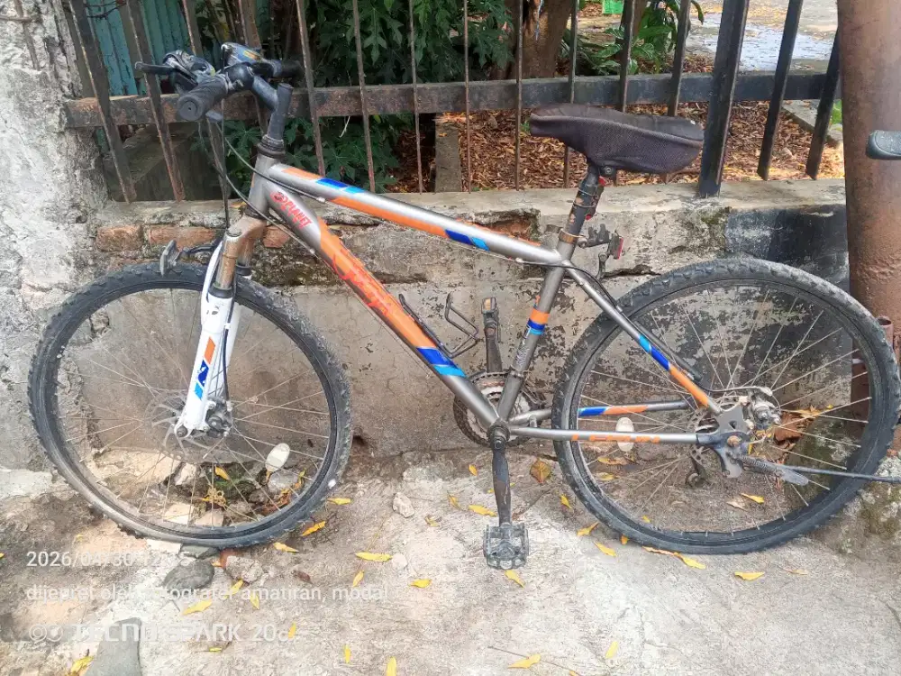 Mtb, LERUN FALCON 26DOBLE CAKRAM