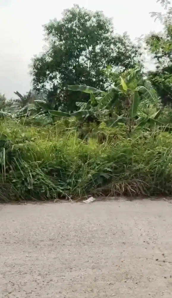 Dijual Lahan Dekat Tol Gunung Putri