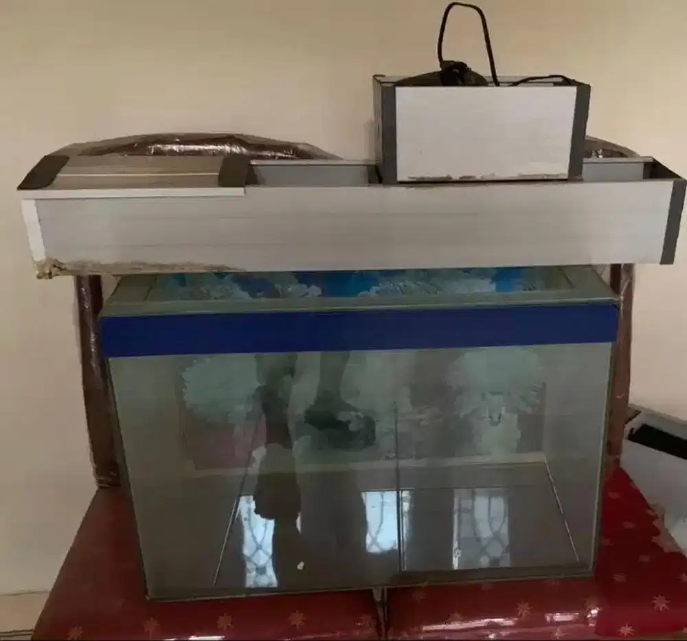 Akuarium untuk pelihara ikan
