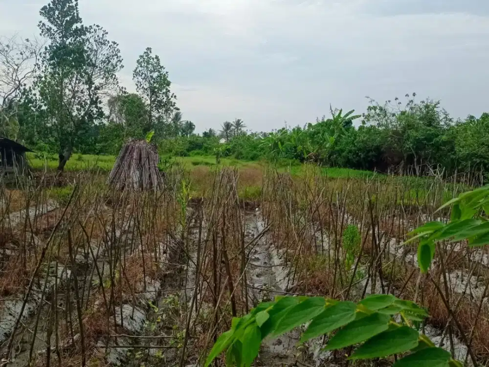 DIJUAL TANAH KERAS SIAP BANGUN JALAN PANGERAN AYIN SAKO KENTEN PALEMBANG