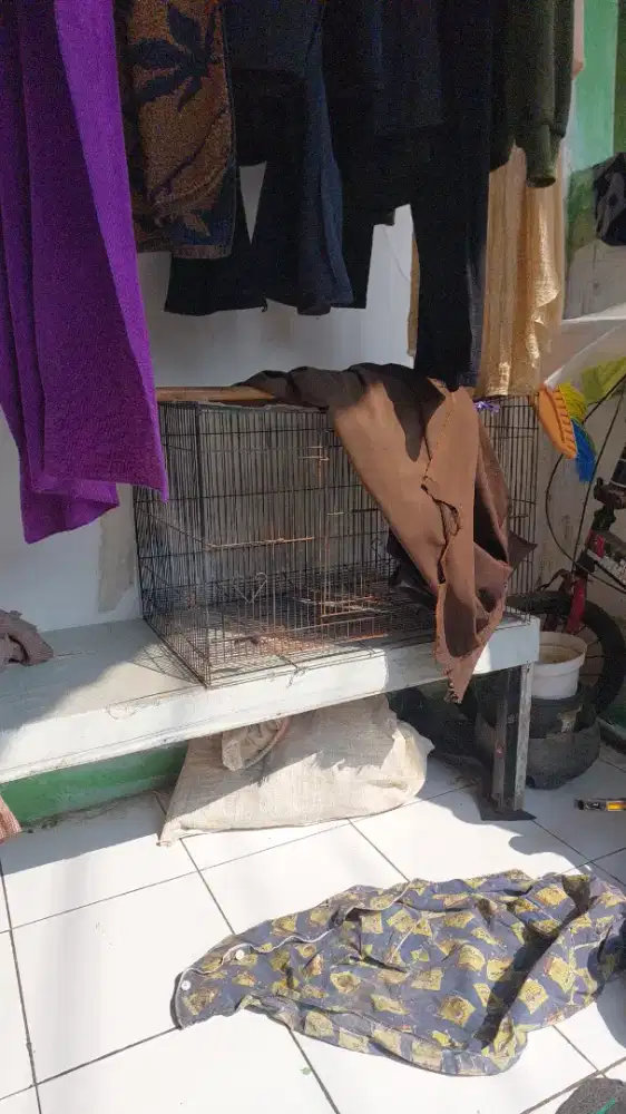 Kandang kucing /burung bisa masih bagus