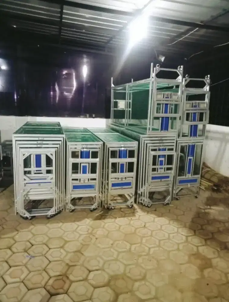 Menjual Umbaran murai