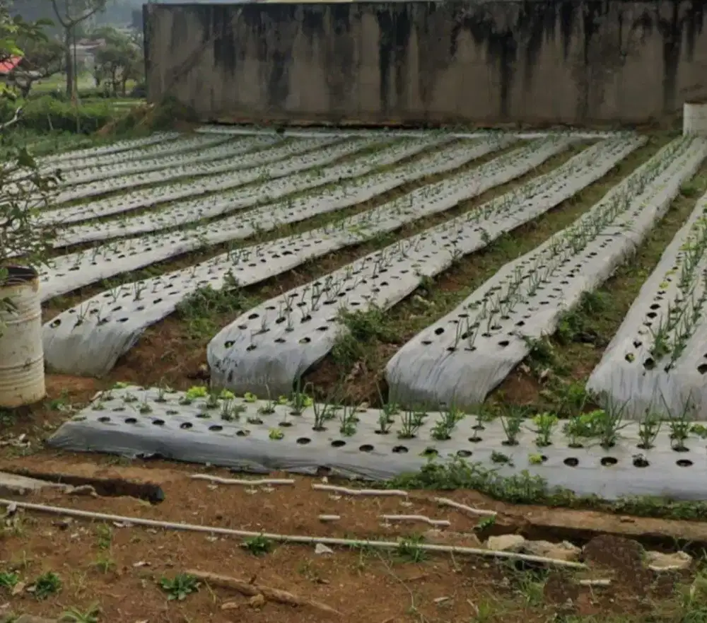 Dijual Tanah siap bangun lokasi sayap Setiabudi