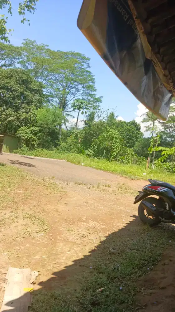 Jual dan menyewa kn