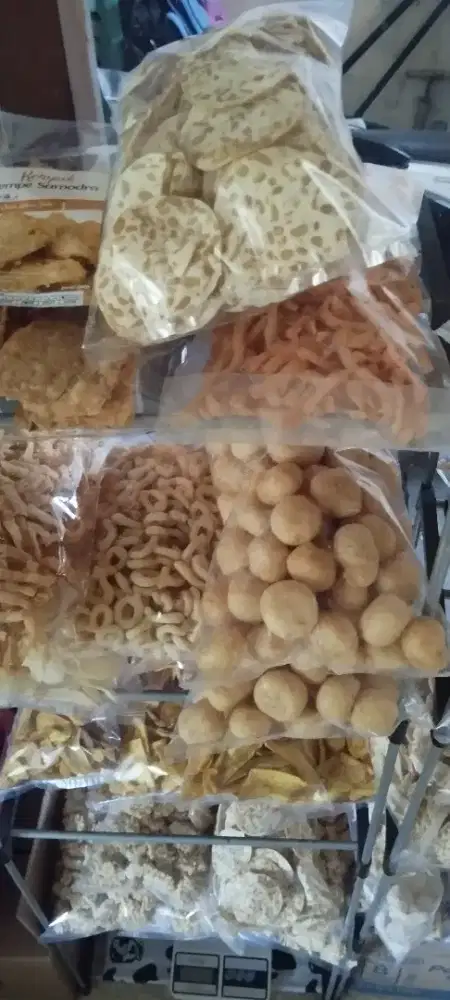 Aneka Camilan Makanan