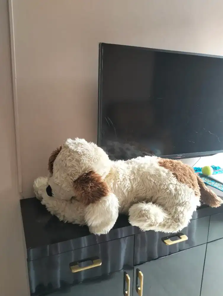 Boneka anjing besar