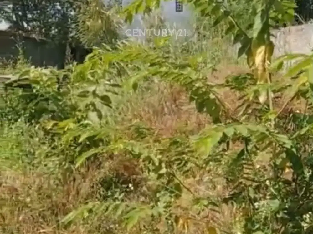 Tanah Disewakan Daerah Balendah Kabupaten Bandung