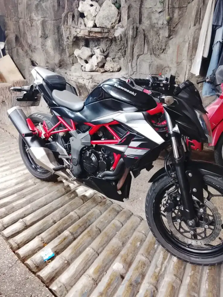 Ninja Z250S 2015