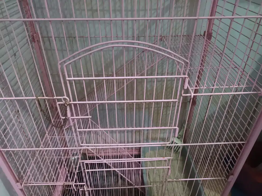 Jual kandang kucing