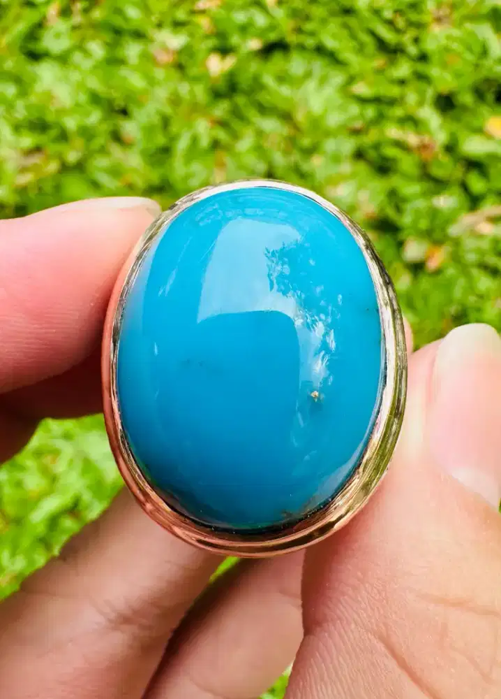 Pirus Persia Blue Robin Egg