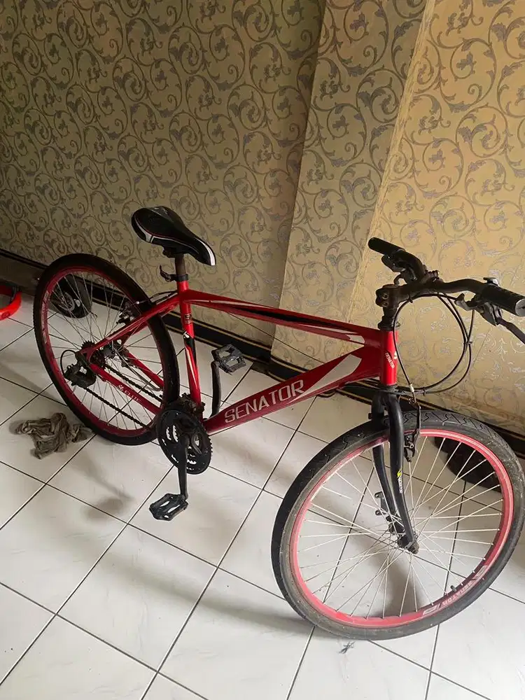 SEPEDA SENATOR UK 27
