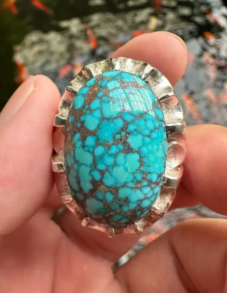 Pirus Persia Biru Iranian